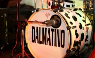 Grupa Dalmatino u Dali baru 