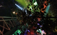 Club Jungle